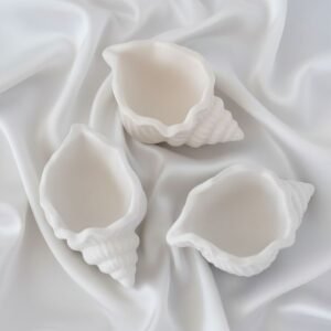 conch shape